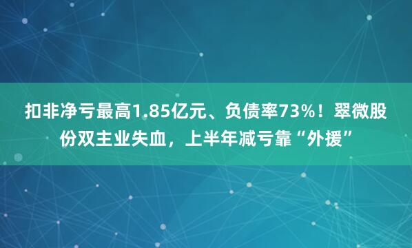 扣非净亏最高1.85亿元、负债率73%！翠微股份双主业失血，上半年减亏靠“外援”