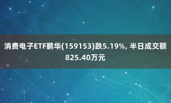 消费电子ETF鹏华(159153)跌5.19%, 半日成交额825.40万元