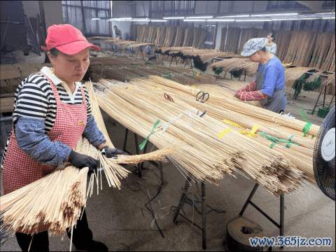 　　▲加工后的竹丝会由工人人工筛选色差，再分门归类。路畅|摄
