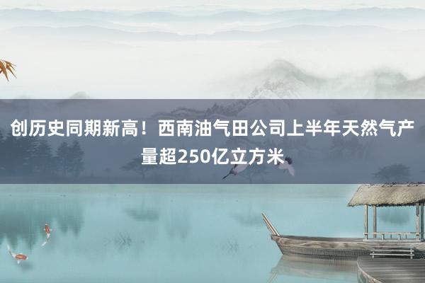创历史同期新高！西南油气田公司上半年天然气产量超250亿立方米