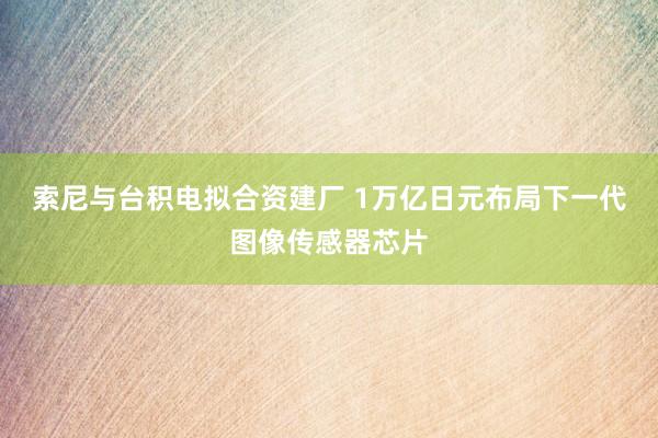 索尼与台积电拟合资建厂 1万亿日元布局下一代图像传感器芯片