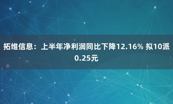 拓维信息：上半年净利润同比下降12.16% 拟10派0.25元