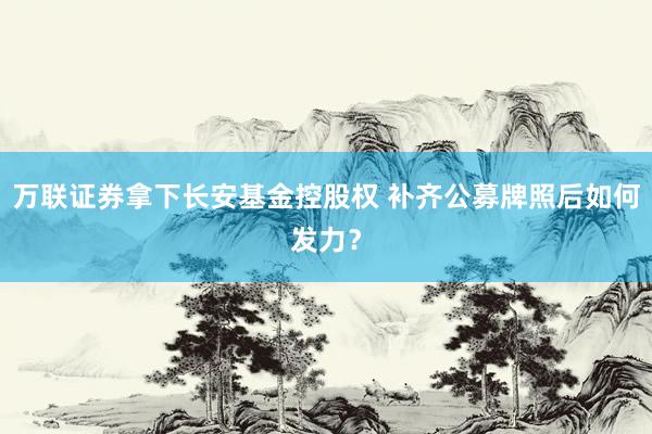 万联证券拿下长安基金控股权 补齐公募牌照后如何发力？