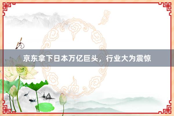 京东拿下日本万亿巨头，行业大为震惊