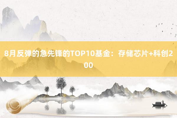 8月反弹的急先锋的TOP10基金：存储芯片+科创200