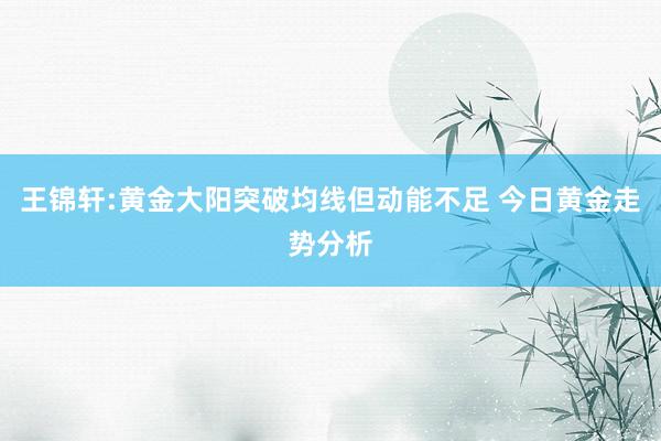王锦轩:黄金大阳突破均线但动能不足 今日黄金走势分析