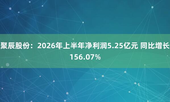 聚辰股份：2026年上半年净利润5.25亿元 同比增长156.07%