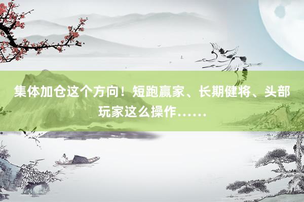 集体加仓这个方向！短跑赢家、长期健将、头部玩家这么操作……