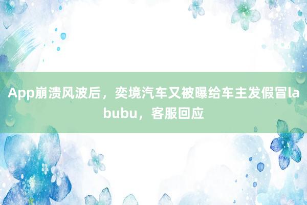 App崩溃风波后，奕境汽车又被曝给车主发假冒labubu，客服回应