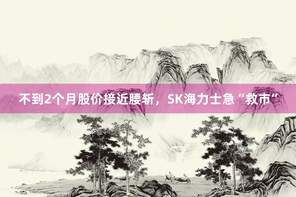 不到2个月股价接近腰斩，SK海力士急“救市”