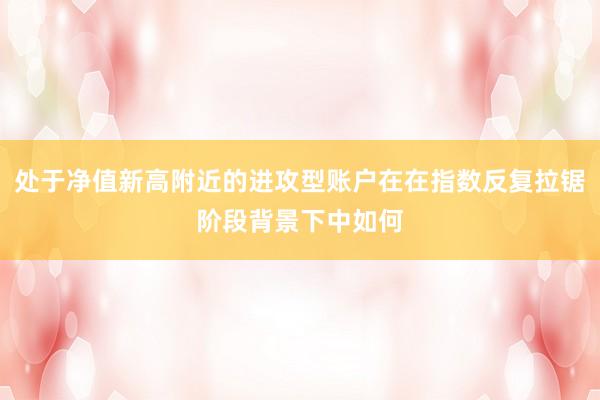 处于净值新高附近的进攻型账户在在指数反复拉锯阶段背景下中如何