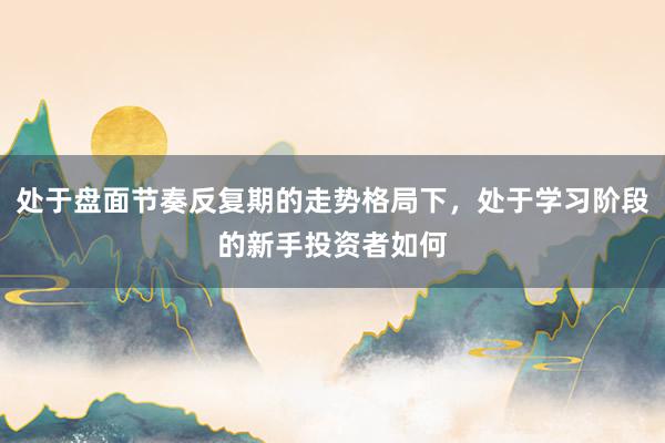 处于盘面节奏反复期的走势格局下，处于学习阶段的新手投资者如何