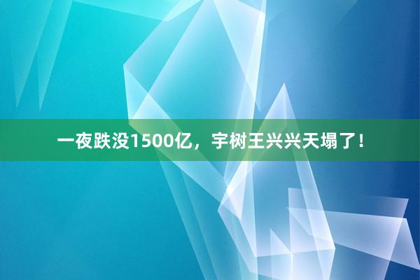 一夜跌没1500亿,宇树王兴兴天塌了!