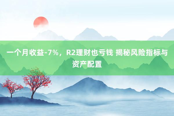 一个月收益-7%,R2理财也亏钱 揭秘风险指标与资产配置