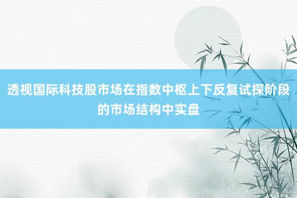 透视国际科技股市场在指数中枢上下反复试探阶段的市场结构中实盘