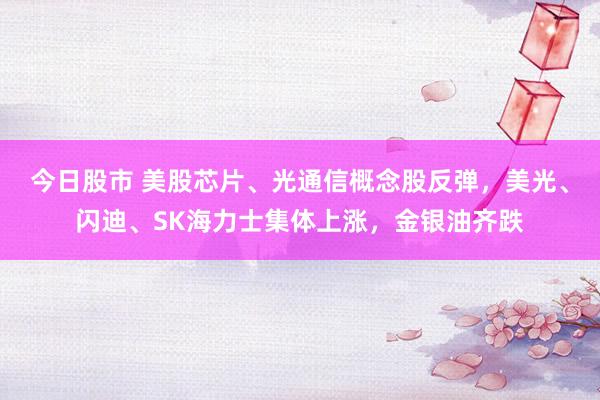 今日股市 美股芯片、光通信概念股反弹，美光、闪迪、SK海力士集体上涨，金银油齐跌
