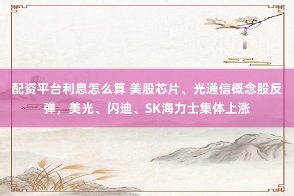 配资平台利息怎么算 美股芯片、光通信概念股反弹，美光、闪迪、SK海力士集体上涨