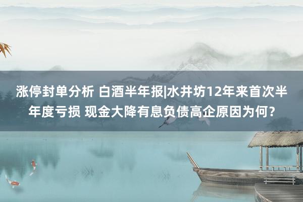 涨停封单分析 白酒半年报|水井坊12年来首次半年度亏损 现金大降有息负债高企原因为何？