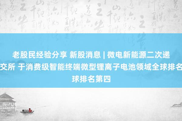 老股民经验分享 新股消息 | 微电新能源二次递表港交所 于消费级智能终端微型锂离子电池领域全球排名第四