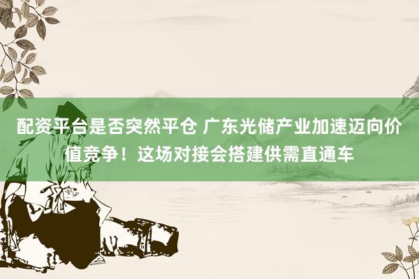 配资平台是否突然平仓 广东光储产业加速迈向价值竞争！这场对接会搭建供需直通车