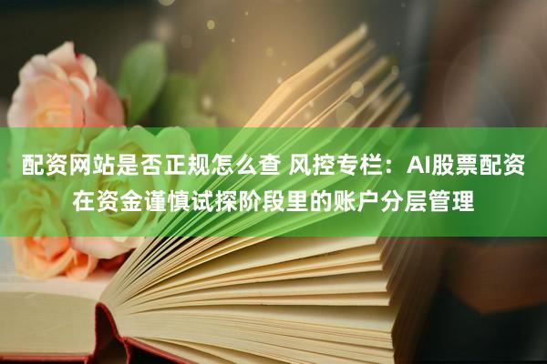 配资网站是否正规怎么查 风控专栏：AI股票配资在资金谨慎试探阶段里的账户分层管理