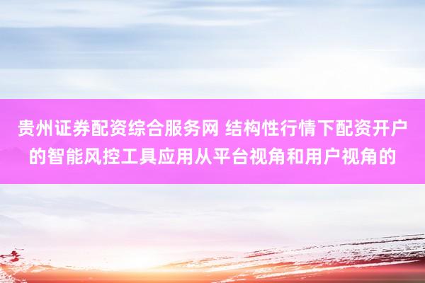 贵州证券配资综合服务网 结构性行情下配资开户的智能风控工具应用从平台视角和用户视角的